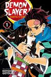 Demon Slayer: Kimetsu no Yaiba, Vol. 1 (Volume 1)