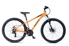 Inexpensive Mountain Bikes