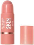 CoverGirl Trublend Skin Enhancer Bl