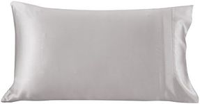 LilySilk Silk 19 Momme Terse Nature Silky Pillowcases to Prevent Wrinkles Anti Aging Queen Size 20 × 33 Inch, Silvergray, Silver-Gray