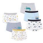 LeQeZe Boys Boxer Shorts 6 Pack Dinosaur Toddler Underwear Kids Cotton Underpants Size 2-3 Years(Boys cars)