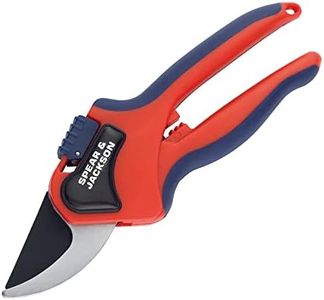 Spear & Jackson Razorsharp Bypass Secateurs, Small, Blue/Red