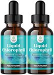 Mint Flavored Chlorophyll Liquid Drops - Vegan Liquid Chlorophyll Drops for Immune Support Gut Health Skin Care Detox Liver Support Energy and Bad Breath - High Potency Internal Deodorizer - 2 Pack