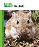 Gerbils (Animal Planet® Pet Care Li