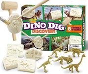 Dino Dig Kit - Dino Fossil Dig Kit with 5 Unique Dinosaurs to Discover - Includes Excavation Tools, Toy Fossils, and Dinosaur Excavation Guide - Dinosaur Digging Fossil Kit for Kids