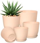 Flower Pots Lowes