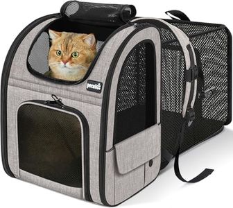 Pecute Cat