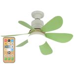 AISEN LED Ceiling Fan with Lights,Smart Fan Light,30W Dimmable Noiseless Ceiling Fan with Timer,Ceiling Light with Fan and Remote,3 Speeds,Small Electric Fan Lamp (40w Green (with Remote Control))