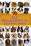 Show Dog Kennels