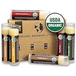 USDA Organic Lip Balm 6-Pack by Earth's Daughter - Fruit Flavors, Beeswax, Coconut Oil, Vitamin E - Best Lip Repair Chapstick for Dry Cracked Lips - Moisturizing Lip Care