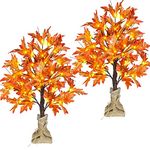 18 Inch 24 Inch Lighted Maple Tree with 36 Lights, 72 Leaves, 6 Acorn, Timer Battery Operated Tabletop Artificial Fall Tree for Thanksgiving Harvest Home Decor, Fall Table Decorations (24 Inch 2 Pack)