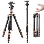 K&F Concept 60 inch Carbon Fiber Camera Tripod,Lightweight Compact Tripod with 360 Degree Ball Head,Quick Release Plate,Detachable Monopod 8KG Load Capacity for SLR DSLR C225C0+BH-25 (BA225)