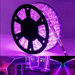 100ft LED Rope Lights Outdoor, 720 LED Connectable and Flexible Tube Lights with 8 Modes, Waterproof LED Rope Lighting for Garden, Patio, Pool, Bedroom, Party, Indoor Outdoor Decoration (Purple)