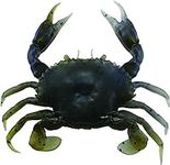 Savage Gear PVC Crab - Sinking Lure