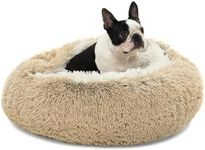 Charlie's Pet Dog Cat Cushioned Snookie Calming Hooded Bed Faux Fur Plush Corncob Material with a Hood Design and Anti Slip Base - Cream Artic White Small 60x60x15cm