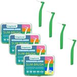 80 Count Interdental Brush Cleaners Dental Brushes Toothpick Tooth Flossing Head Oral Dental Hygiene Brush Interdental Angle Brushes with Portable Case Easy Use for Tooth Cleaning (Green, Tight Teeth)