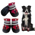 Dog Boots