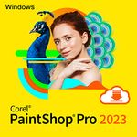 Corel Windows