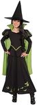 Rubie's Wizard of Oz Wicked Witch of The West Costume, Medium One Color