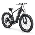 UDON BEEMONE Electric Bike for Adul