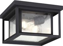 Sea Gull Lighting 78027-12 Hunnington Two - Light Outdoor Ceiling Flush Mount Outside Fixture, Black