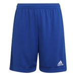 adidas Unisex Kids Entrada 22 Shorts, Royal Blue, 9-10 Years