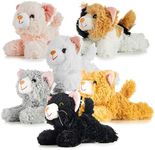 PREXTEX Realistic Looking Small Cat Stuffed Animal - 6 inch Stuffed Kittens with Lifelike Details - Plush Cat Set for Kids, Pet Toys, Home Decor, or Cat Lady Costume - Soft and Huggable - 12 Pack