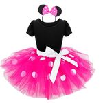 Minnie Mouse Costumes