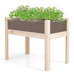 COSTWAY Raised Garden Bed, Fir Wood Elevated Planter Box with 2 Acrylic Panels, Drainage Holes, Movable Bed & Elevated Legs, Outdoor Growing Box Flower Container for Patio Balcony(100 x 59 x 77cm)