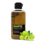 Kerasoul Anti-Dandruff Amla Shampoo for Dryness, Damage, Breakage & Split Ends Enriched with Bhringraj & Sea Buckthorn for Men & Women organic(200 ml)