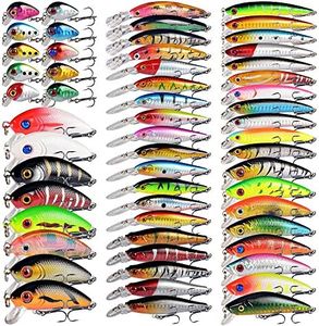 Aneew Bulk 56 Pack Topwater Fishing Bass Lures Kit Tackle Crankbait Swimbaits Jerkbaits Minnow Popper Pencil Vib Hard Baits Trout Pike Musky Walleye Perch Treble Hook Freshwater Saltwater