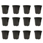 KWEL Nursery Pot 5-inch Plastic Black Color (Pack of 12)