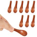 8 Pcs Handmade Tiny Wooden Spoons, 2.36in Small Spoons for Spices Mini Wooden Spoons for Sauces Sugar Salt Dips Spices Condiment Honey Mustard Cooking