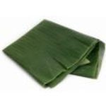 Fresh Thai Banana Leaf (500g)