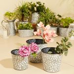 Amazon Brand - Solimo Metal Planter (Set of 3) | Lightweight (Farmhouse Design | White Distressed)