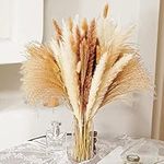 Uhky 60 Pcs Artificial Flowers Pampas Grass Fake Plastic Flower for Hanging Plants Indoor Home Party Wedding Decoration (60Pcs-Pampas Grass)