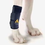 Agon Dog Canine Front Leg Brace Paw Compression Wraps with Protects Wounds Brace Heals and Prevents Injuries and Sprains Helps with Loss of Stability Caused by Arthritis (Large/X-Large)