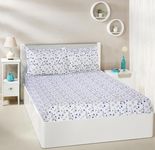 Amazon Brand - Solimo Floral 200 TC Cotton King Size Bedsheet (Aqua)