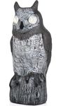 Galashield Owl Decoy | Plastic Owls to Scare Birds Away with Solar Powered LED Eyes | Owl Statue for Garden & Outdoors