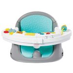 Fisher-Price booster seat