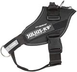 Julius-K9, IDC Powerharness, Dog Ha