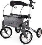 Topro ATR Outdoor All Terrain Folding Lightweight Rollator (Small, Silver)