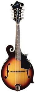 Washburn M