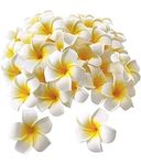 VRB Dec™ 24 Pcs Artificial Big Foam Hawaaii Fake Foam Water Floating Flowers for Pooja Thali, Festival and Events, Home, Table, Badroom, Pooja Room, Diwali Decoration Items and DIY Craft (White, 24)