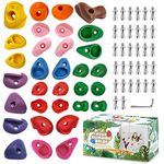 32 Rock Climbing Holds Multi Size for Kids, Adult Rock Wall Holds Climbing Rock Wall Grips for Indoor and Outdoor Playground Play Set - Includes 2 Inch Mounting Hardware