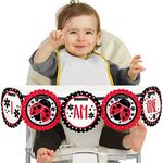 Big Dot of Happiness Modern Ladybug 1st Birthday - I Am One - First Birthday High Chair Banner