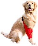 HDKUW Dog Elbow Protector, Dog Front Leg Recovery Sleeve for Prevent Licking Wound, Elbow Sleeves with Mesh Pad for Medium Large Dogs Red 2XL