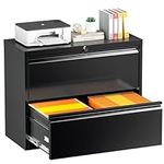INTERGREAT Lateral File Cabinet 2 D