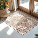 BESTSWEETIE 2x3 Entryway Rug 2 x 3 