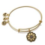 Alex and Ani Path of Symbols Expandable Bangle for Women, One Size, no gemstone